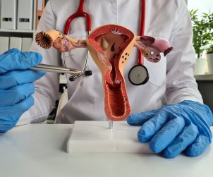 Lekarz ginekolog przedstawia model żeńskiego układu rozrodczego podczas konsultacji lekarskiej. /Źródło: 123rf.com