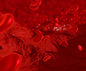 Czerwone krwinki poruszające się wewnątrz naczynie krwionośnego. /Źródło: 123rf.com