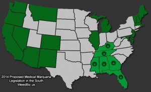 legalność marihuany w poszczególnych stanach USA