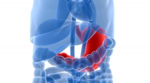 gastroskopia kraków, pracownia gastroskopii, pracownia endoskopii, pracownia endoskopowa, badanie gastroskopi , gastrolog, gastroenterolog
