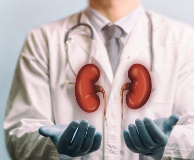 Lekarz nefrolog z grafiką nerek. /Źródło: 123rf.com