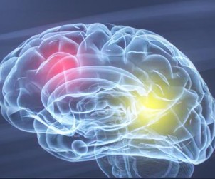 neurolog nowy sącz, specjalista neurologii, lekarz neurolog w nowym sączu, poradnia neurologiczna, choroby neurologiczne, układ nerwowy, choroby układu nerwowego