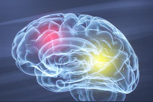 neurolog nowy sącz, specjalista neurologii, lekarz neurolog w nowym sączu, poradnia neurologiczna, choroby neurologiczne, układ nerwowy, choroby układu nerwowego