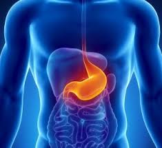 gastroskopia łódź, pracownia gastroskopii, pracownia endoskopii, pracownia endoskopowa w łodzi, badanie gastroskopi , gastrolog, gastroenterolog