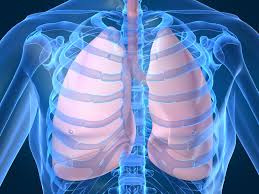 spirometria lodz,badanie spirometryczne, pochp, Przewlekła obturacyjna choroba płuc, spirometria, poradnia chorób płuc