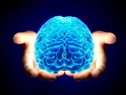 neurolog kraków, specjalista neurologii, lekarz neurolog w krakowie, poradnia neurologiczna, choroby neurologiczne, układ nerwowy, choroby układu nerwowego