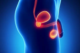 urolog łódź, poradnia urologiczna, badania urologiczne, specjalista urolog w łodzi