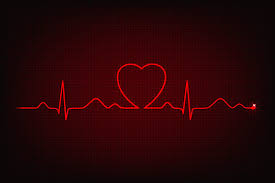 holter ekg kraków, holter ekspresowy , holter 24 h, holter 24 godz, poradnia kardiologiczna, pracownia holterowska, holter ekspresowy opis, szybki opis badania holtera ekg kraków