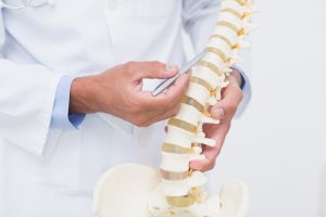 Lekarz ortopeda wskazuje na modelu układu kostnego odcinek kręgosłupa. /Źródło: 123rf.com
