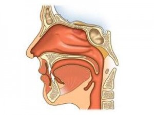 laryngolog kraków, otolaryngolog, specjalista laryngologii, poradnia laryngologiczna