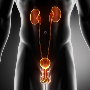 urolog kraków, poradnia urologiczna, badania urologiczne, specjalista urolog w krakowie