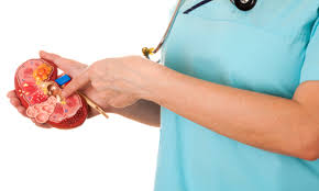 urolog łódź, poradnia urologiczna, badania urologiczne, specjalista urolog w łodzi