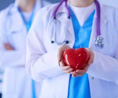 Kardiolog trzyma w dłoni sztuczny model serca. /Źródło: 123rf.com