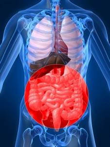 gastroenterolog gdynia
