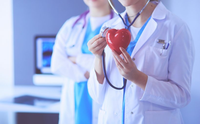 Lekarka trzyma w dłoni model serca. /Źródło: 123rf.com