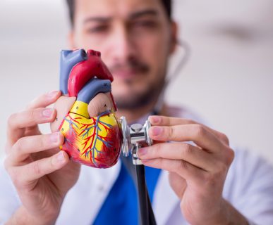 Młody lekarz ubrany w biały fartuch przykłada stetoskop do modelu anatomicznego serca. /Źródło: 123rf.com