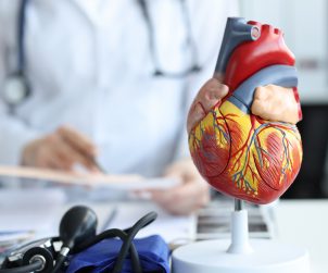 Model anatomiczny serca na tle lekarze przeprowadzającego konsultację kardiologiczną. /Źródło: 123rf.com