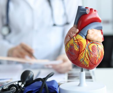Model anatomiczny serca na tle lekarze przeprowadzającego konsultację kardiologiczną. /Źródło: 123rf.com