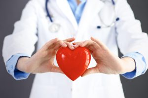 Lekarz kardiolog trzyma w dłoniach sztuczne serce. /Źródło: 123rf.com