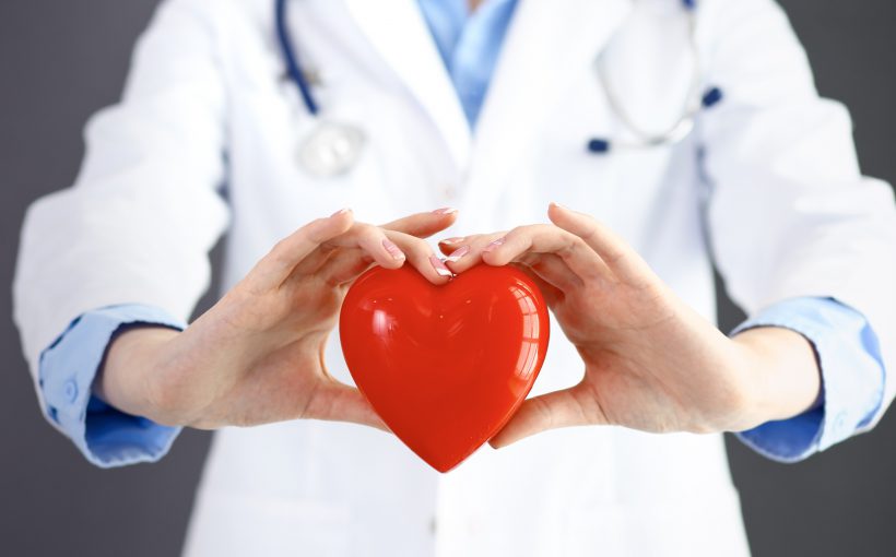 Lekarz kardiolog trzyma w dłoniach sztuczne serce. /Źródło: 123rf.com
