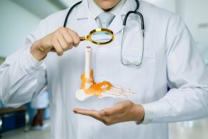 Lekarz ortopeda prezentuje model anatomiczny stopy. /Źródło: 123rf.com