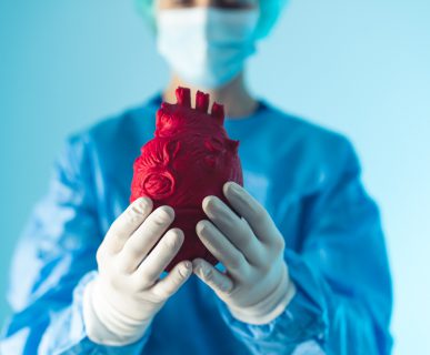 Lekarz kardiolog trzyma w dłoni model serca. /Źródło: 123rf.com