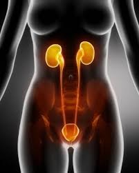 urolog gdańsk, poradnia urologiczna gdańśk