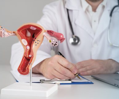 Lekarz wypełnia kwestionariusz wizyty, przed nim położony jest model żeńskiego układu rozrodczego. /Źródło: 123rf.com