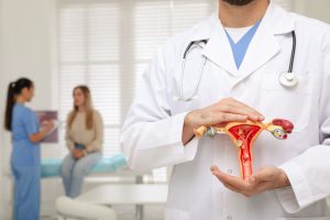 Ginekolog demonstruje żeński układ rozrodczy w celu diagnostyki niepłodności pacjentki. Źródło: 123rf.com