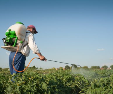 Mężczyzna wykonuje oprysk szkodliwymi środkami. /Źródło: 123rf.com