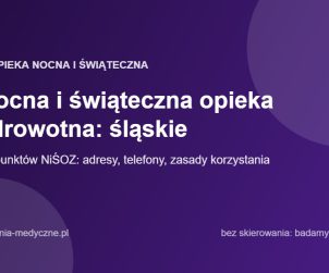 Nocna i świąteczna opieka zdrowotna: śląskie