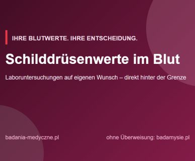 Schilddrüse prüfen lassen: TSH, fT4, fT3 und Anti-TPO